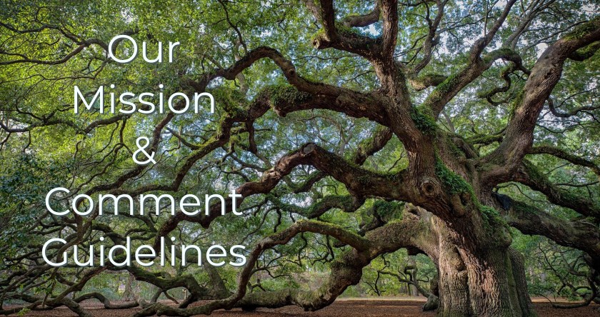 DDD160E0-1ADC-4D8D-B4A8-E1B08E50716D_1_201_a